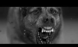 Featured image of post Woodkid - Iron - YouTube